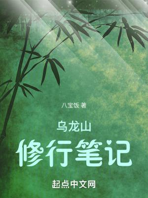 乌龙山修行笔记顶点