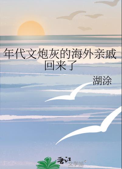 年代文炮灰的海外親戚回來了作 者湖塗