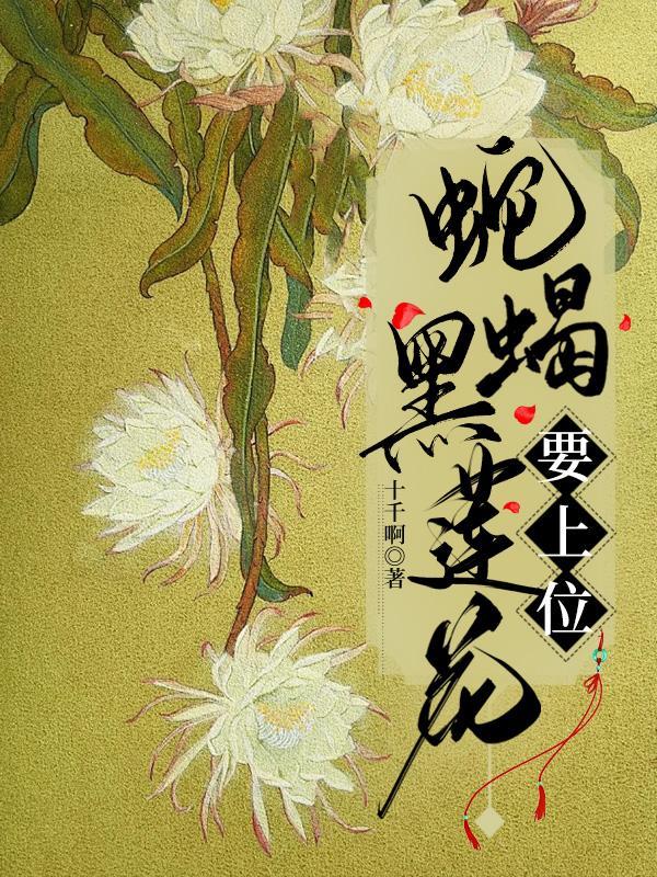 黑蓮花上位手冊1-100集免費