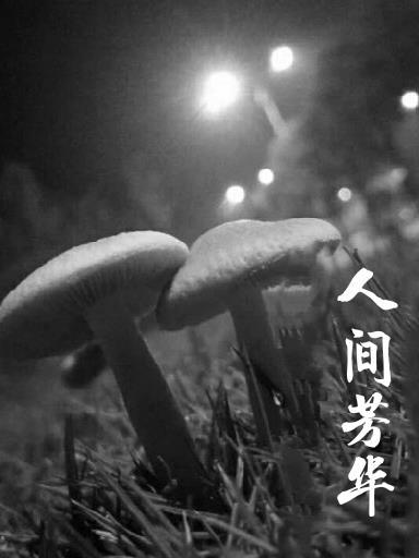 人間芳華事物非